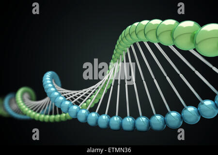 Stilisierte Darstellung der Stränge der menschlichen DNS, Desoxyribonukleinsäure. Stockfoto