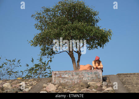 Sadhu (Heiliger) sitzen unter dem Baum in Rishikesh. Stockfoto