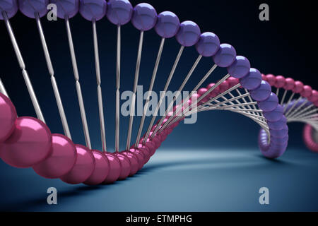 Stilisierte Darstellung der Stränge der menschlichen DNS, Desoxyribonukleinsäure. Stockfoto