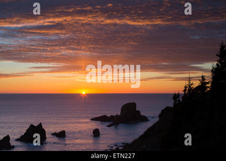 Einstellen von Sonnenlicht über Seastacks und Ecola State Park in der Nähe von Cannon Beach, Oregon, USA Stockfoto