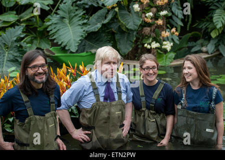 Boris Johnson, Bürgermeister von London trägt Watvögel am Prince Of Wales Conservatory in Londons Royal Botanical Gardens, Kew Victoria Amazonica Seerosen, Hybrid Seerosen und Lotus Pflanzen Pflanzen. Der Bürgermeister wurde von renommierten Gärtner, Carlos Magdalena (aka der Pflanze Messias), Kew Lehrlinge und Diplomanden verbunden.  Mitwirkende: Boris Johnson, Bürgermeister von London wo: London, Vereinigtes Königreich bei: Kredit-16. März 2015: Peter Maclaine/WENN.com Stockfoto