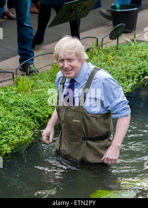 Boris Johnson, Bürgermeister von London trägt Watvögel am Prince Of Wales Conservatory in Londons Royal Botanical Gardens, Kew Victoria Amazonica Seerosen, Hybrid Seerosen und Lotus Pflanzen Pflanzen. Der Bürgermeister wurde von renommierten Gärtner, Carlos Magdalena (aka der Pflanze Messias), Kew Lehrlinge und Diplomanden verbunden.  Mitwirkende: Boris Johnson, Bürgermeister von London wo: London, Vereinigtes Königreich bei: Kredit-16. März 2015: Peter Maclaine/WENN.com Stockfoto