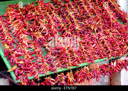 Red hot Chili peppers hängen auf einem Markt Stockfoto