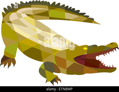 Niedrige Polygon Stil Illustration ein angry Alligator Krokodil klaffende Mund auf isolierten weißen Hintergrund gesetzt. Stockfoto