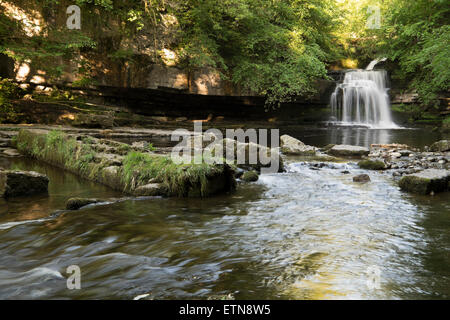 Kessel fällt, Walden Beck, West Burton, Yorkshire Dales National Park, England Stockfoto