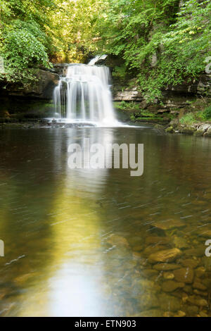 Kessel fällt, Walden Beck, West Burton, Yorkshire Dales National Park, England Stockfoto