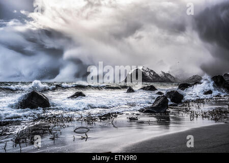 Blizzard, Myrland, Lofoten Inseln, Norwegen Stockfoto