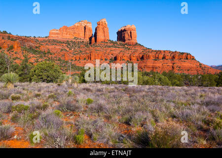 Sedona Cathedral Rock, Sedona, Yavapai County, Arizona, USA Stockfoto