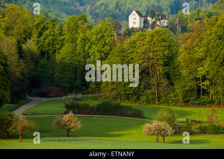 Frühling am Morgen bei Burg Im Leimental, Baselland, Schweiz. Stockfoto