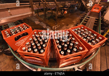 Ostrava, Tschechische Republik. 15. Juni 2015. Brauerei Ostravar präsentieren aktuelle Investitionen in Ostrava, Tschechische Republik, 15. Juni 2015. Ostravar beendet die Rekonstruktion der Abfüller für Bier in Flaschen und Fässern für 66 Millionen Kronen. Mit der neue Geräten hat die Qualität der Brauerei Abfüllung, aber auch Kapazität erhöht. © Jaroslav Ozana/CTK Foto/Alamy Live-Nachrichten Stockfoto