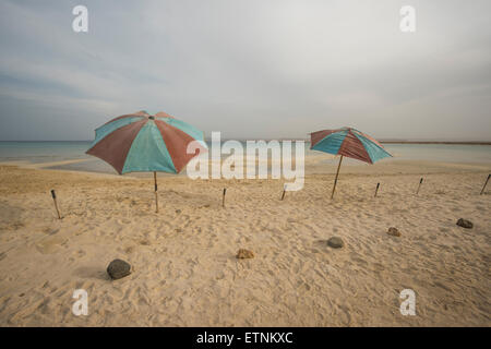 Zwei alte Regenschirme auf einer verlassenen tropischen Strand unter einem stürmischen bewölkten Himmel Stockfoto