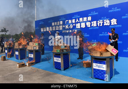 Guangzhou, China. 15. Juni 2015. Polizisten zerstören Drogen beschlagnahmt in Medikament Büsten Preisverleihung Start einer Anti-Drogen-Kampagne in Guangzhou, Hauptstadt der südchinesischen Provinz Guangdong, 15. Juni 2015. Chinas General Administration of Customs der Provinzregierung von Guangdong gekickt und gemeinsam eine groß angelegte Anti-Drogen-Kampagne in Guangzhou am Montag. Diese Kampagne richtet sich speziell an dem zunehmenden Verkehr von synthetischen Drogen in Guangdong und 40 Spürhunden rief sich zusammen über das Land, die Mission durchzuführen. Bildnachweis: Xinhua/Alamy Live-Nachrichten Stockfoto