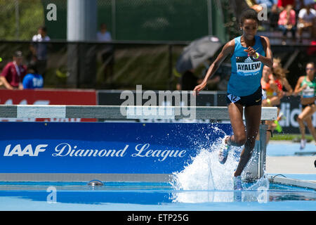 13. Juni 2015; Randalls Island, NY, USA; Hiwot Ayalew Äthiopiens gewinnt die Frauen 3000m Hindernis während der IAAF Diamond League Adidas Grand Prix Icahn Stadium. Anthony Nesmith/Cal-Sport-Medien Stockfoto