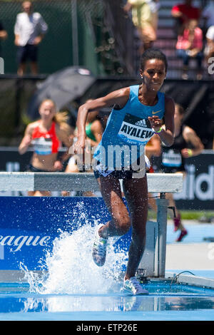 13. Juni 2015; Randalls Island, NY, USA; Hiwot Ayalew Äthiopiens gewinnt die Frauen 3000m Hindernis während der IAAF Diamond League Adidas Grand Prix Icahn Stadium. Anthony Nesmith/Cal-Sport-Medien Stockfoto