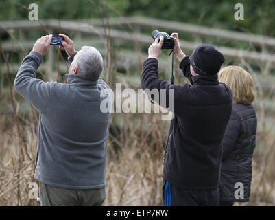 Sonnenfinsternis in der Nähe von Linlithgow, Schottland Featuring: Atmosphäre wo: Livingston, Vereinigtes Königreich bei: 20. März 2015 Credit: WENN.com Stockfoto