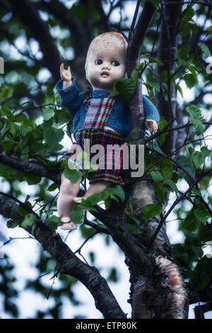 eine alte Puppe sitzt auf einem Baum Stockfoto