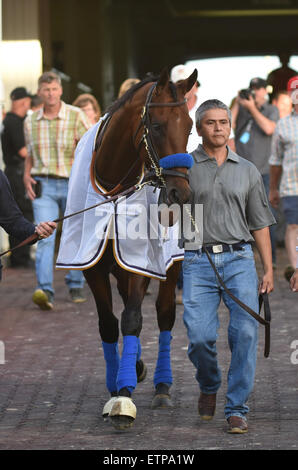 Lexington, KY, USA. 13. Juni 2015. Gewinner der Triple Crown amerikanisches Pharoah im Fahrerlager. © Csm/Alamy Live-Nachrichten Stockfoto