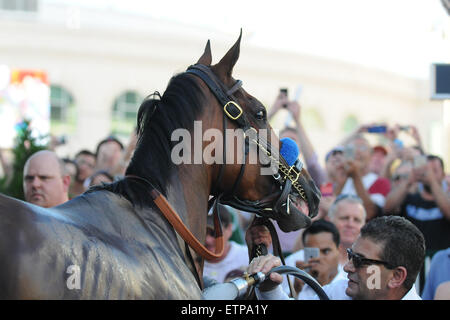 Lexington, KY, USA. 13. Juni 2015. Gewinner der Triple Crown amerikanisches Pharoah im Fahrerlager. © Csm/Alamy Live-Nachrichten Stockfoto