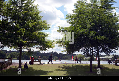 Ein Blick durch die Bäume des Menschen entspannen in der Sonne zusehen Segeljollen auf dem See in Wimbledon Park London SW19 Stockfoto