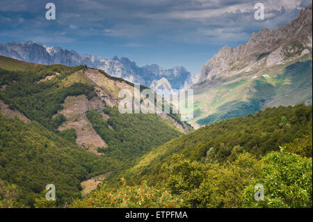 Picos de Europa von Puerto de Pandetrabe, kantabrischen Gebirge, Nordspanien Stockfoto