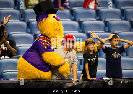 New Orleans, LA, USA. 12. Juni 2015. New Orleans VooDoo Maskottchen MoJo während des Spiels zwischen dem Cleveland Gladiators und New Orleans VooDoo Smoothie King Center in New Orleans, Louisiana Stephen Lew/CSM/Alamy Live-Nachrichten Stockfoto