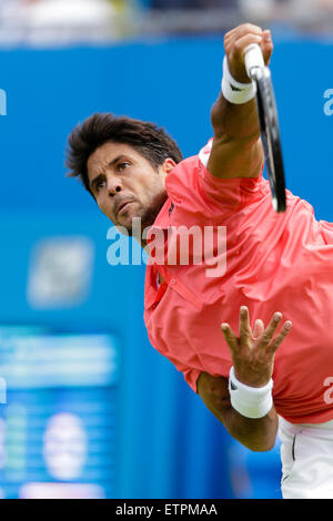 London, UK. 15. Juni 2015. Queens Aegon Championship Tennis. Roberto Bautista Agut (ESP) gegen Fernando Verdasco (ESP), 1. Vorrundenspiel. Fernando Verdasco in Aktion Credit: Action Plus Sport/Alamy Live News Stockfoto