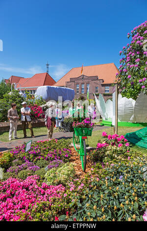 Alter Markt (Alter Markt), Rhododendron-Ausstellung "RHODO 2014" in Westerstede, Ammerland, Niedersachsen, Deutschland, Stockfoto