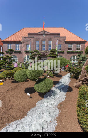 Rhododendron-Ausstellung "RHODO 2014", Topiaries, Alter Markt (Alter Markt), Rathaus, Westerstede, Ammerland, Niedersachsen Stockfoto