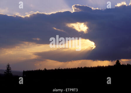 BEL, Belgien, Eastbelgium, Hautes Fagnes, Hohes Venn, Abend Himmel mit Wolken.  BEL, Abendhimme, Hohes Venn, Belgien, Ostbelgien Stockfoto