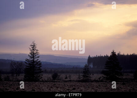 BEL, Belgien, Eastbelgium, Hautes Fagnes, Hohes Venn, Abend Himmel mit Wolken.  BEL, Abendhimme, Hohes Venn, Belgien, Ostbelgien Stockfoto