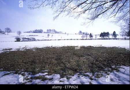 BEL, Belgien, Eastbelgium, Schnee bedeckt Felder in der Nähe von Robertville.  BEL, Belgien, Ostbelgien, Schneebedeckte Felder Bei Robertvill Stockfoto