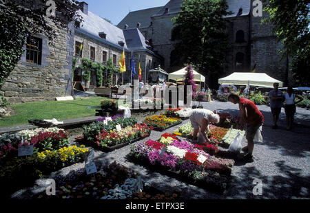 BEL, Belgien, Eastbelgium, Malmedy, zwei Jungs unter einem ...