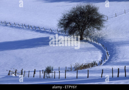 BEL, Belgien, Eastbelgium, Schnee bedeckt Felder in der Nähe von Buellingen.  BEL, Belgien, Ostbelgien, Schneebedeckte Felder Bei Buellingen. Stockfoto