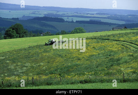 BEL, Belgien, Eastbelgium, Felder zwischen Honsfeld und Holzheim in der Nähe von Buellingen.  BEL, Belgien, Ostbelgien, Felder Zwischen Hons Stockfoto