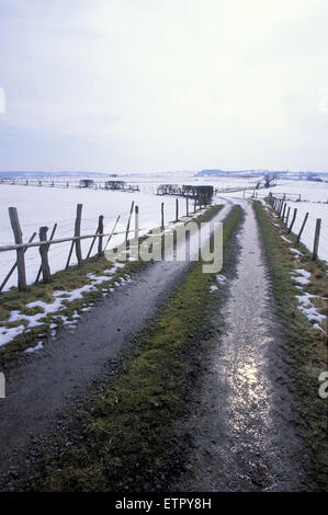 BEL, Belgien, Eastbelgium, Felder in der Nähe von Eibertingen in der Nähe von Ambleve.  BEL, Belgien, Ostbelgien, Felder Bei Eibertingen Nahe Amel. Stockfoto