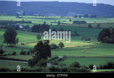 BEL, Belgien, Eastbelgium, Felder in Meyerode in der Nähe von Ambleve.  BEL, Belgien, Ostbelgien, Felder Bei Meyerode Nahe Amel. Stockfoto