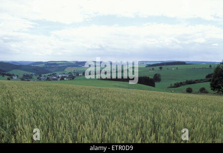 BEL, Belgien, Eastbelgium, Felder in der Nähe von Bracht in der Nähe von Burg Reuland.  BEL, Belgien, Ostbelgien, Felder Bei Bracht Nahe Burg Reuland. Stockfoto