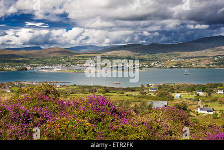 Der Hafen von Berehaven und der Fischereihafen Castletownbere von Bere Island, mit reichlich violetter Heidekraut (Erica cinerea) im Vordergrund Stockfoto