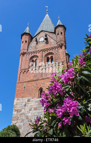 St.-Petri Kirche, Rhododendron Ausstellung "RHODO 2014" in Westerstede, Ammerland, Niedersachsen, Deutschland Stockfoto