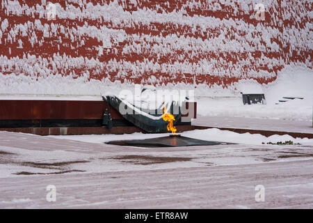 Die Zeremonie der Änderung der Wächter der Ehre durch das Grab des unbekannten Soldaten und das ewige Licht im Winter Stockfoto