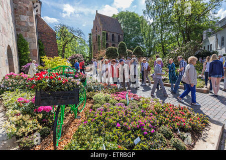 Glockenturm, die Kirche St. Peter, Rhododendron-Ausstellung "RHODO 2014" in Westerstede, Ammerland, Niedersachsen, Deutschland Stockfoto