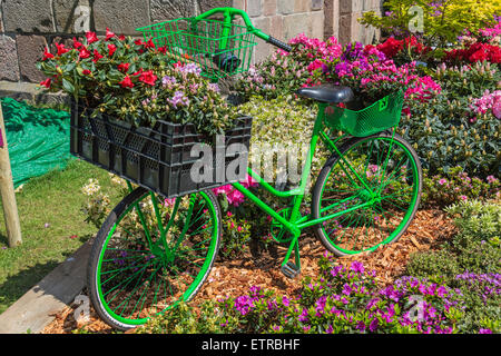 Fahrrad mit Blumen, Rhododendron-Ausstellung "RHODO 2014" in Westerstede, Ammerland, Niedersachsen, Deutschland, Stockfoto