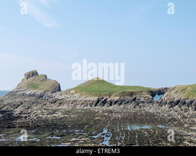 Welle schneiden Plattform ausgesetzt bei Ebbe am Wurmkopf, Gower, Wales Stockfoto