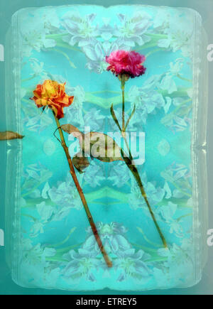 fotografische Schicht Arbeit von zwei Blumen und Schmuck aus Blumen, Stockfoto