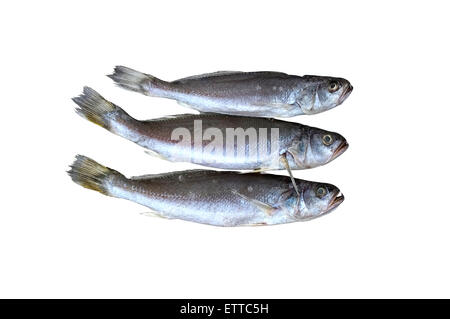 Gesalzener Fisch getrocknet Stockfoto