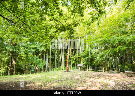 Yatoyama Park, Stadt Zama, Präfektur Kanagawa, Japan Stockfoto