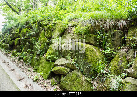 Yatoyama Park, Stadt Zama, Präfektur Kanagawa, Japan Stockfoto