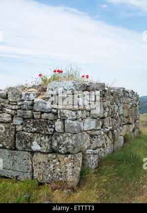 Römische Siedlung bleibt am Monte Cilda in der Nähe von Olleros de Pisuerga, Provinz Palencia, Spanien Stockfoto