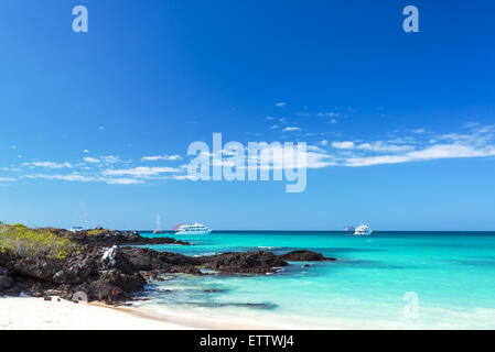 Bacha Strand und unberührte Wasser auf der Insel Santa Cruz in der Galapagos-Insel in Ecuador Stockfoto