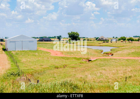 Ein modernes Bauernhaus und Stall, Weide, Vieh und einem Teich. Oklahoma, USA. Stockfoto